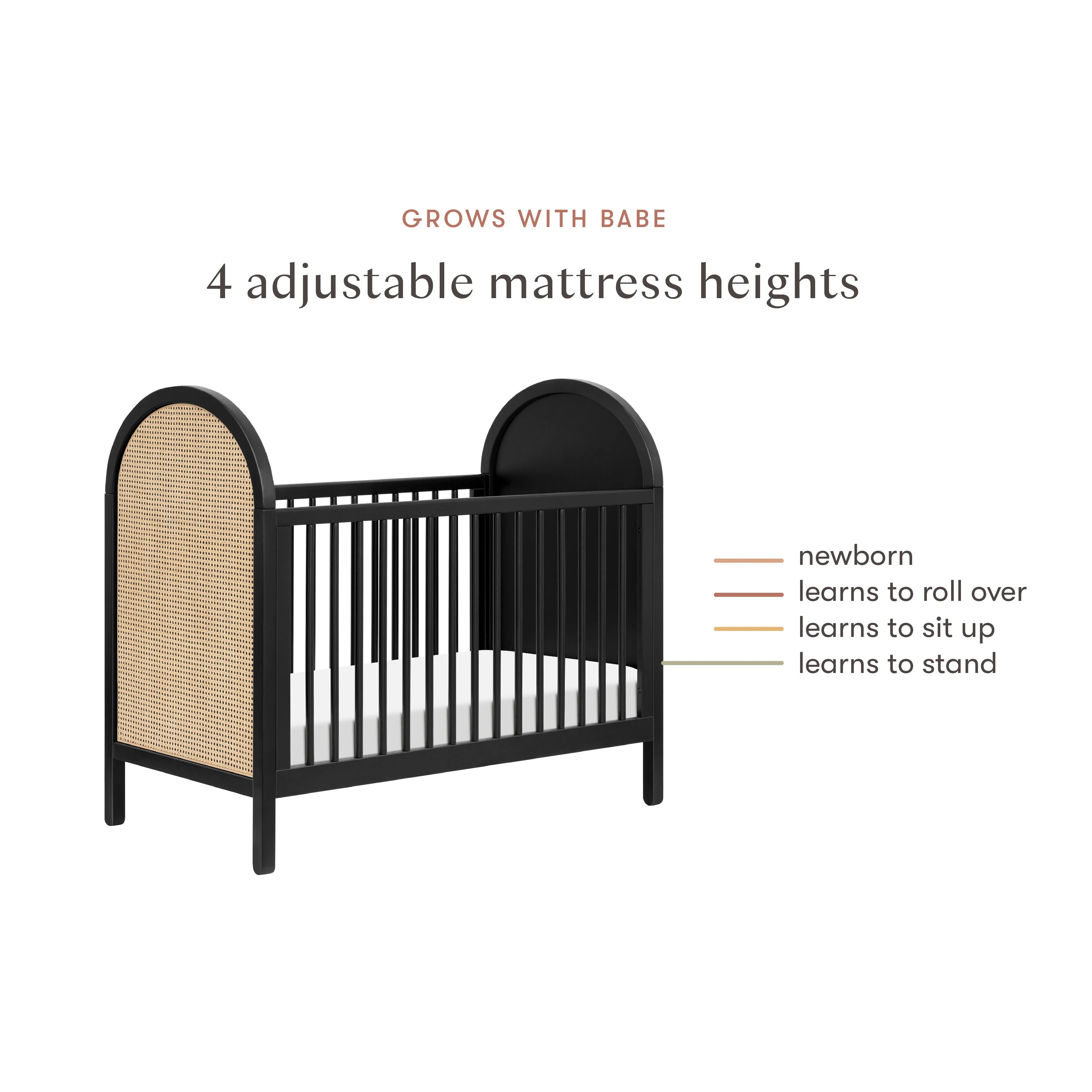 Babyletto Bondi Cane 3-in-1 Convertible Crib with Toddler Bed Conversion Kit - Image 49