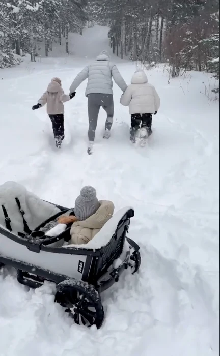 Veer Cruiser Wagon All Terrain XL - Image 15