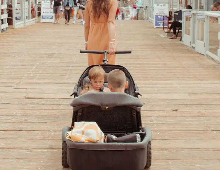 Veer Cruiser Wagon All Terrain XL - Image 4