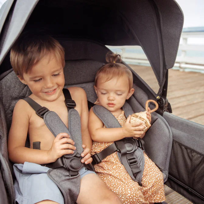 Veer Cruiser Wagon All Terrain XL - Image 5