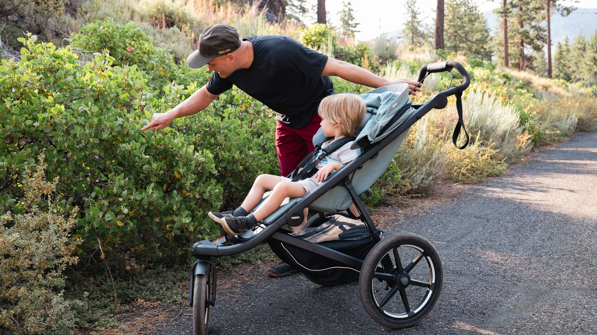 Thule Urban Glide 3 All-Terrain Stroller - Image 12