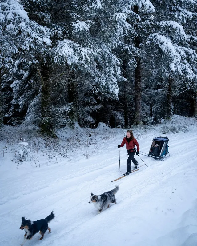Thule Chariot Cross 2 Double Bike Trailer - In Stock - Image 14