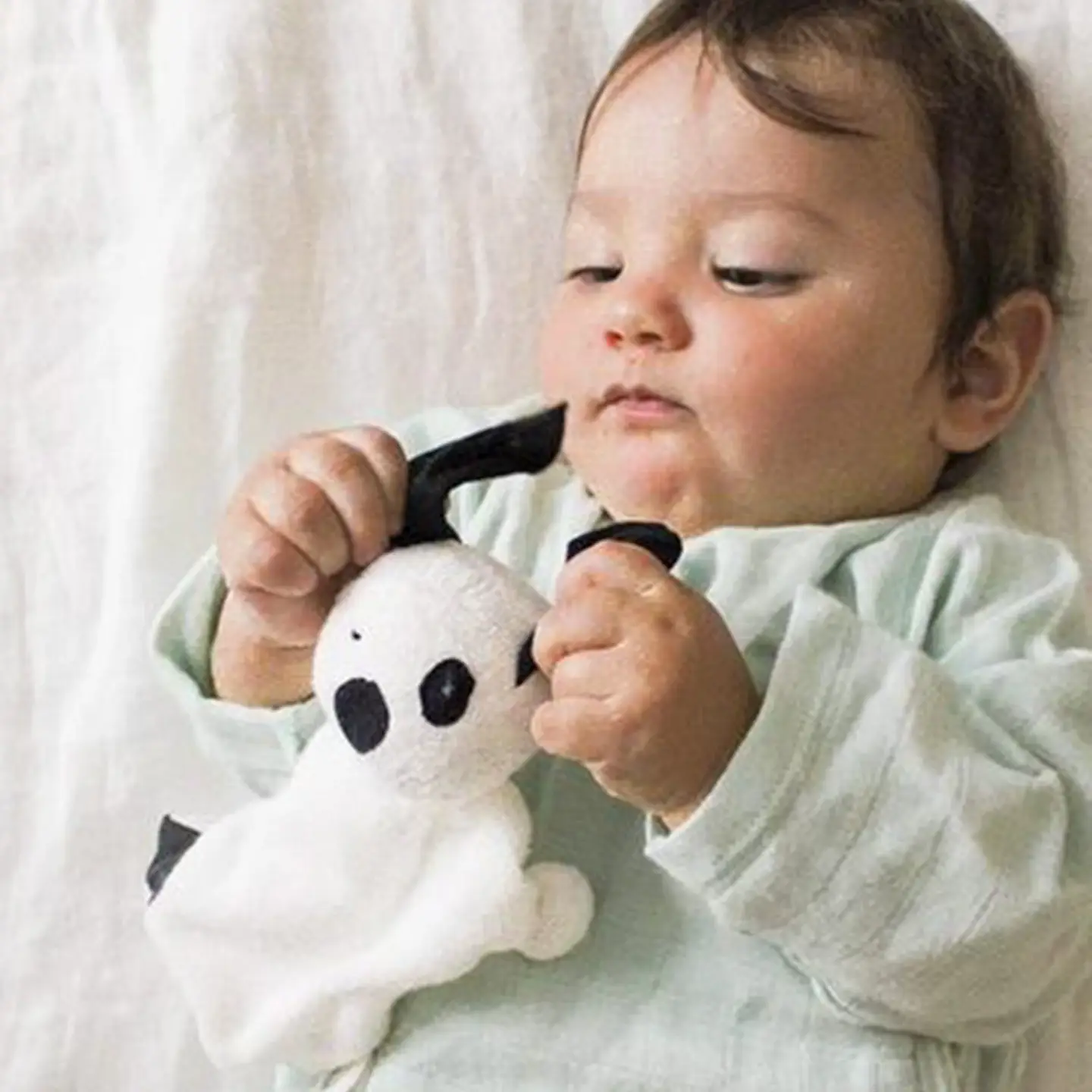 Under The Nile Duke the Dog - Image 3