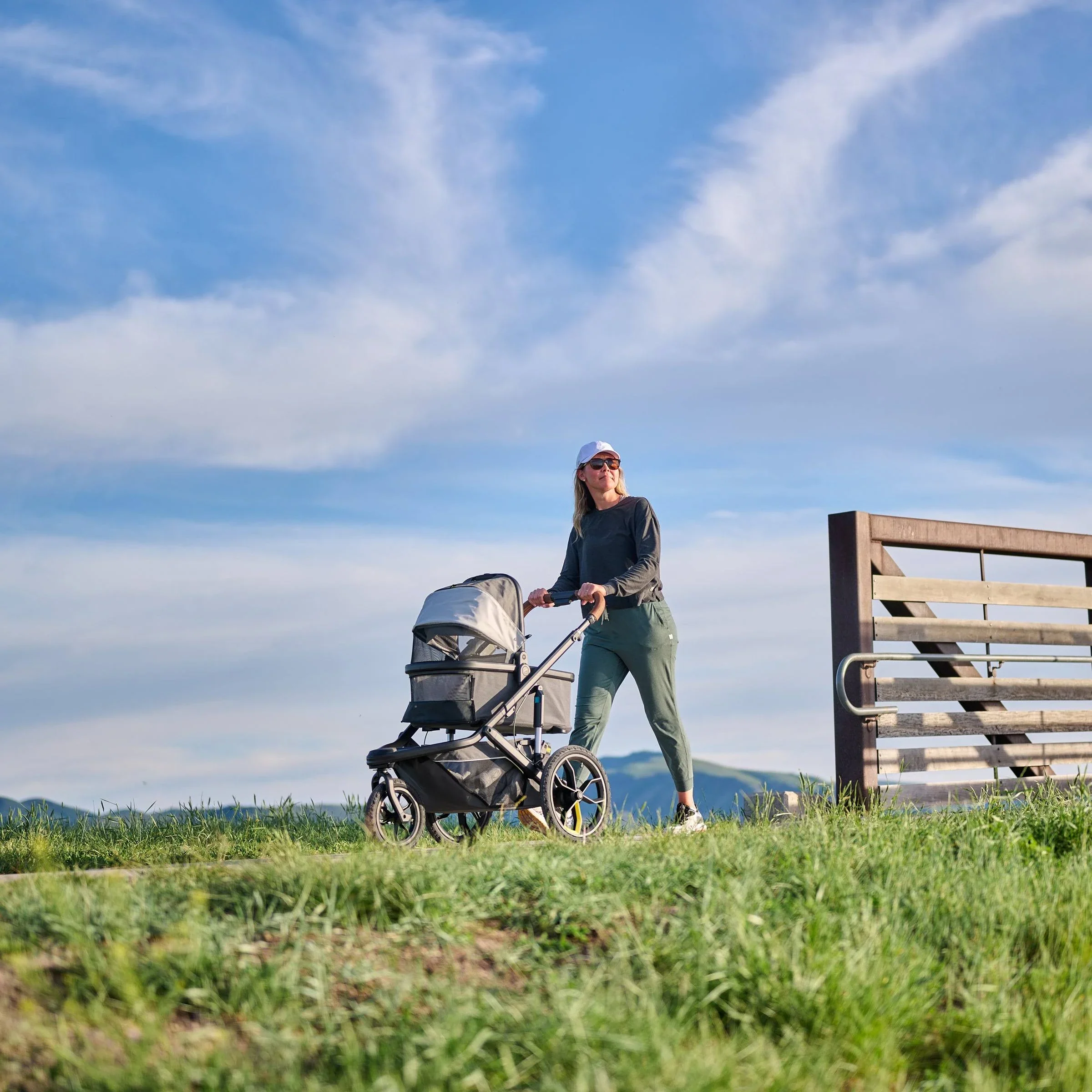 Veer Bassinet for Switchback Stroller - Image 13