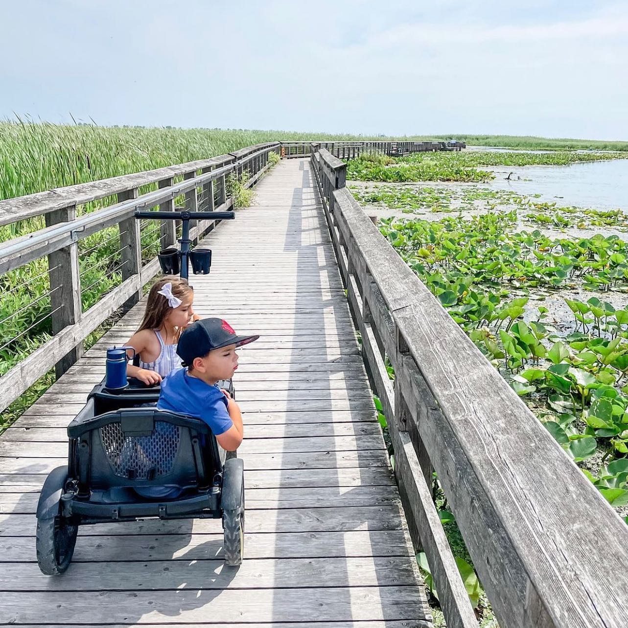 Veer Cruiser Wagon All Terrain - Image 21