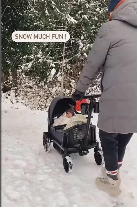 Veer Cruiser Wagon All Terrain - Image 24