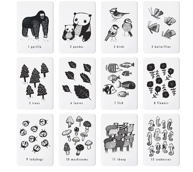 Wee Gallery Nature Number Cards - Image 6