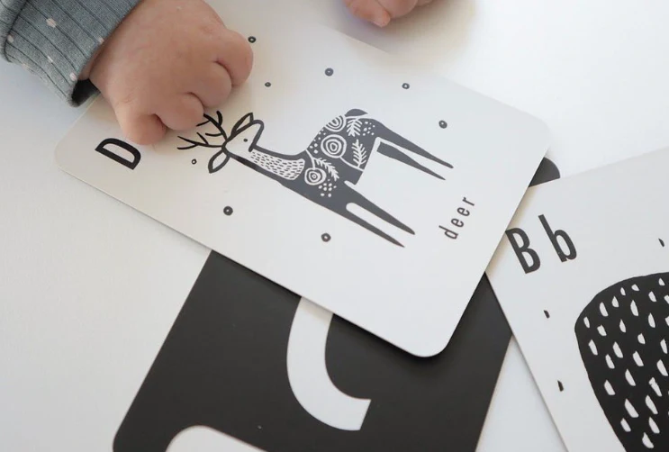 Wee Gallery Animal Alphabet Cards - Image 6